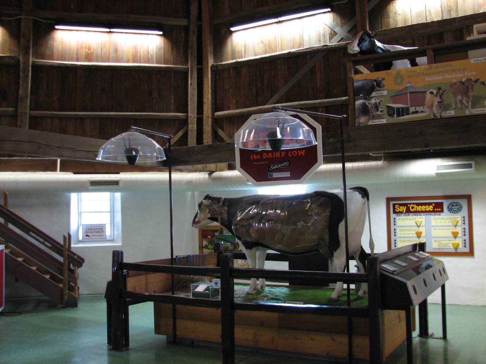 Family Farm - Dairy Complex