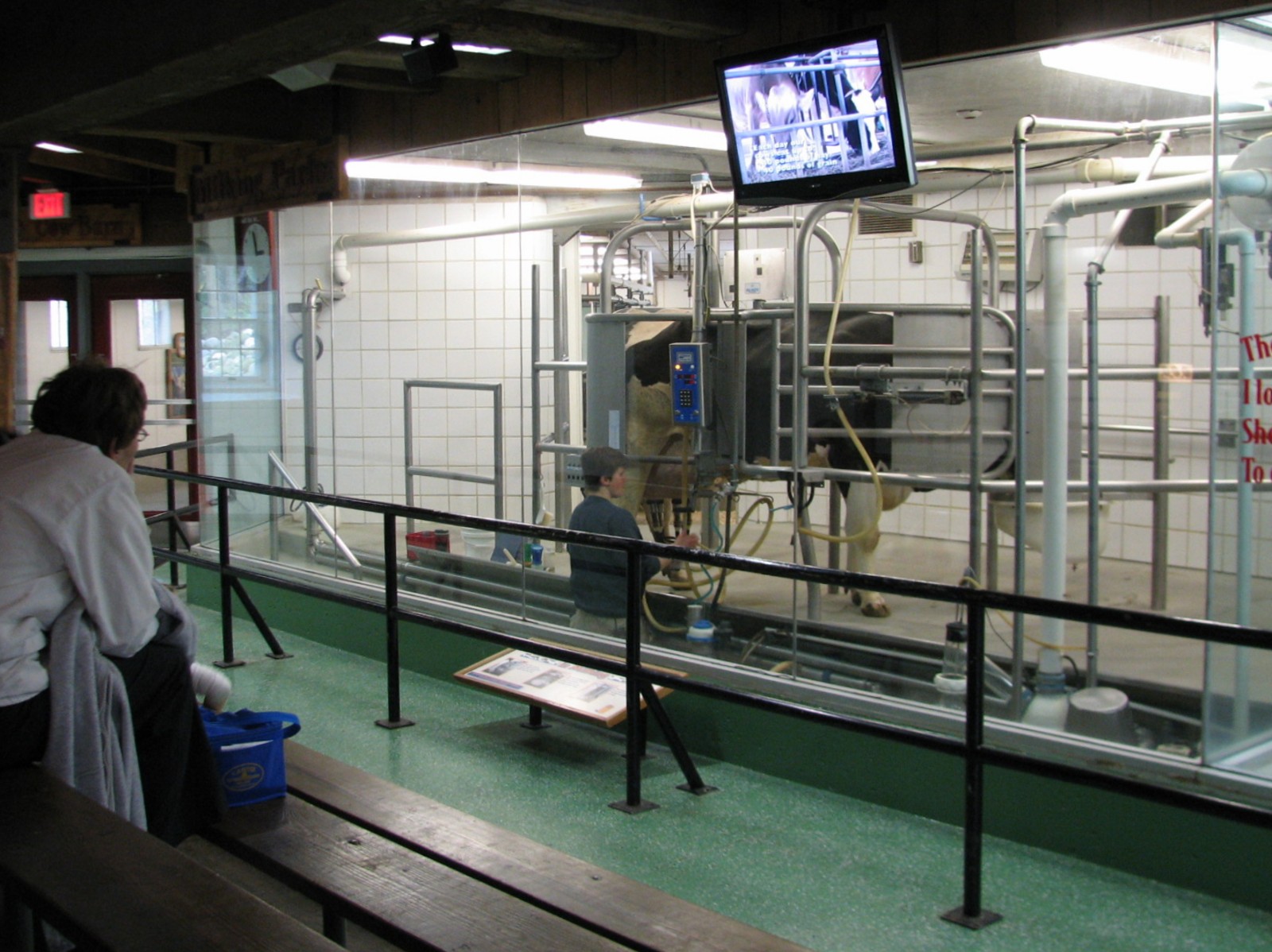 Family Farm - Dairy Complex