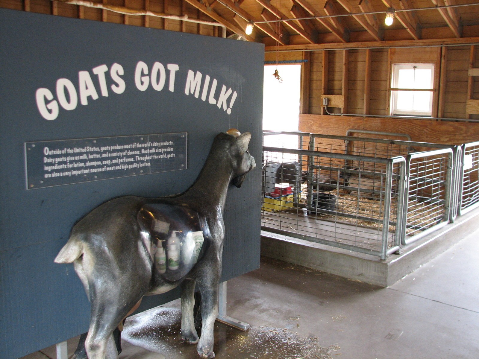 Family Farm - Goat and Sheep Barn Display