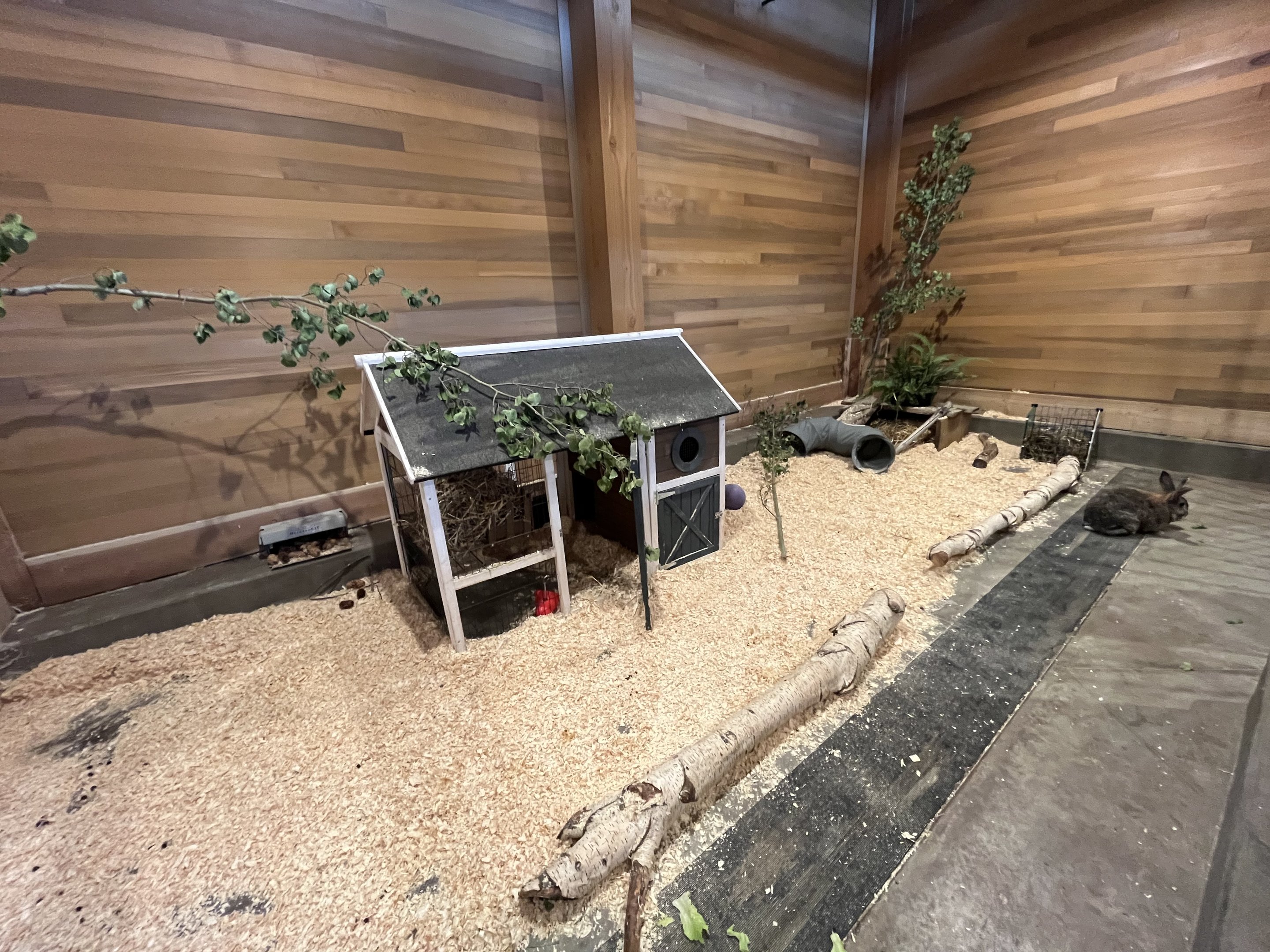 Family Farm - Rabbit Exhibit