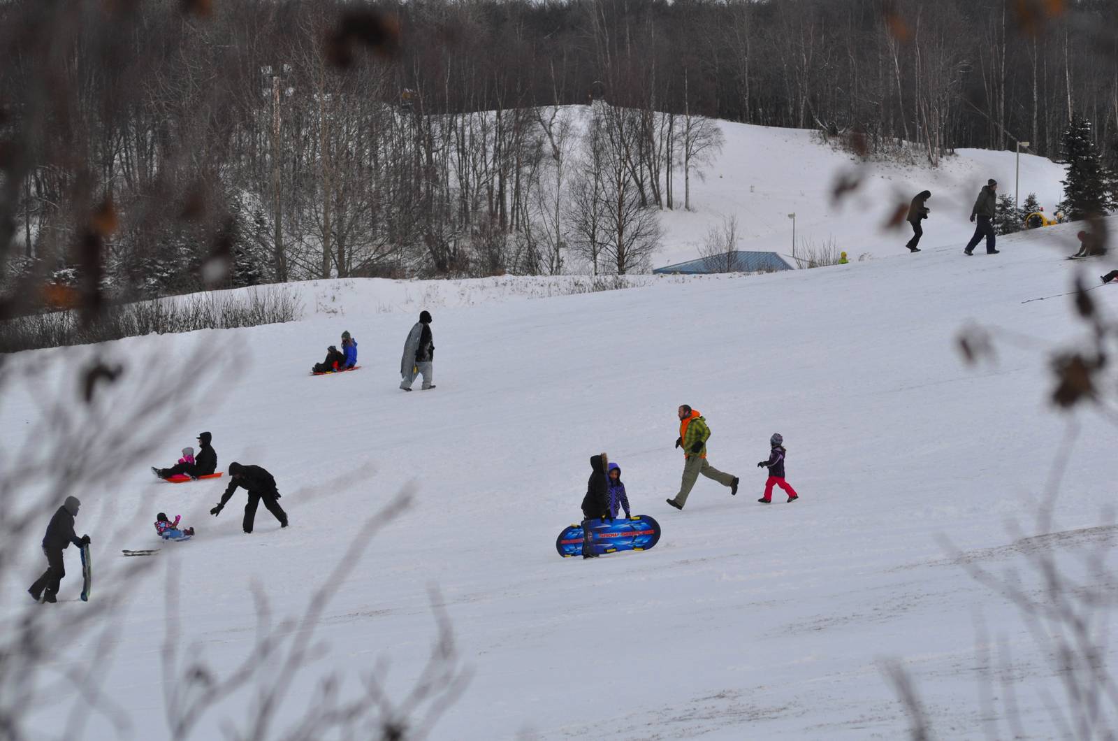 Famlies Sledding at Kincaid Park - Alaska