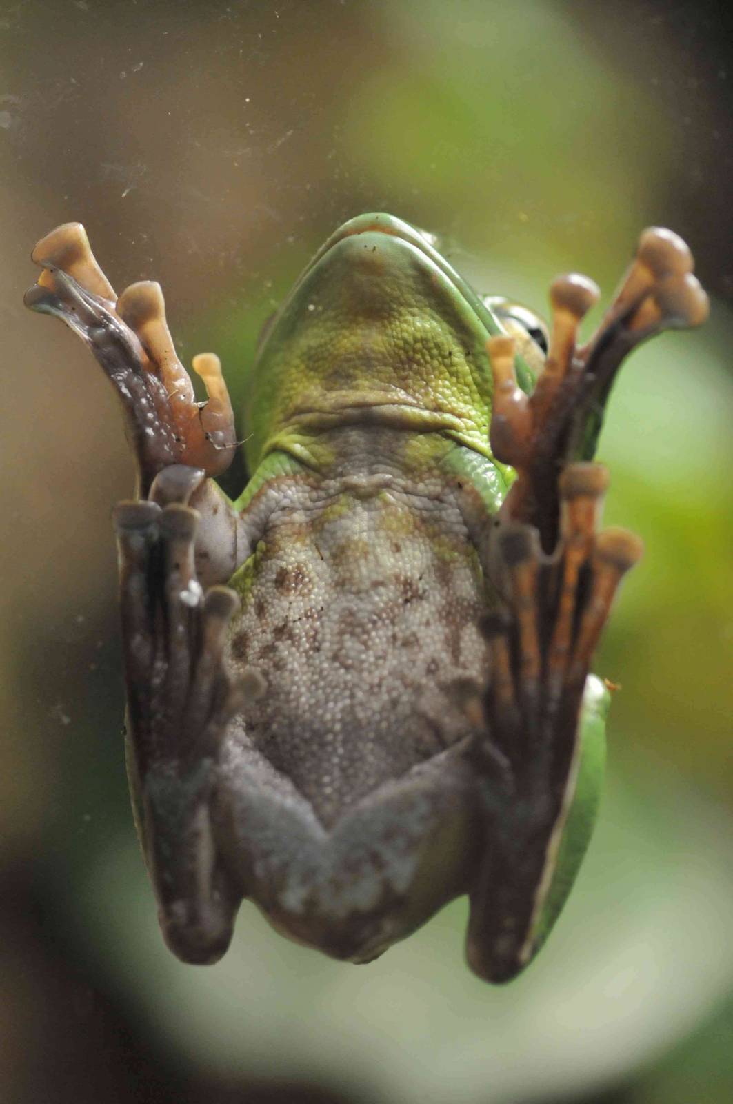 Famous Chemnitz Vivarium