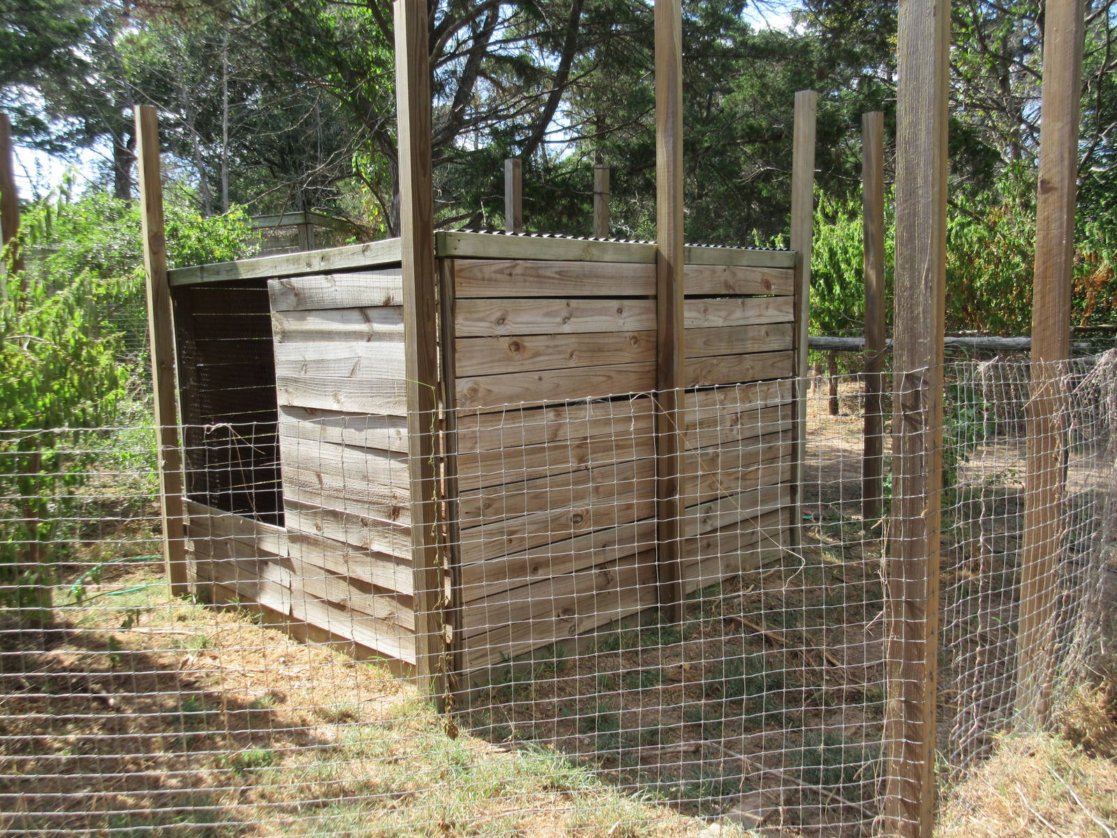 Fanaloka Exhibit (side view)