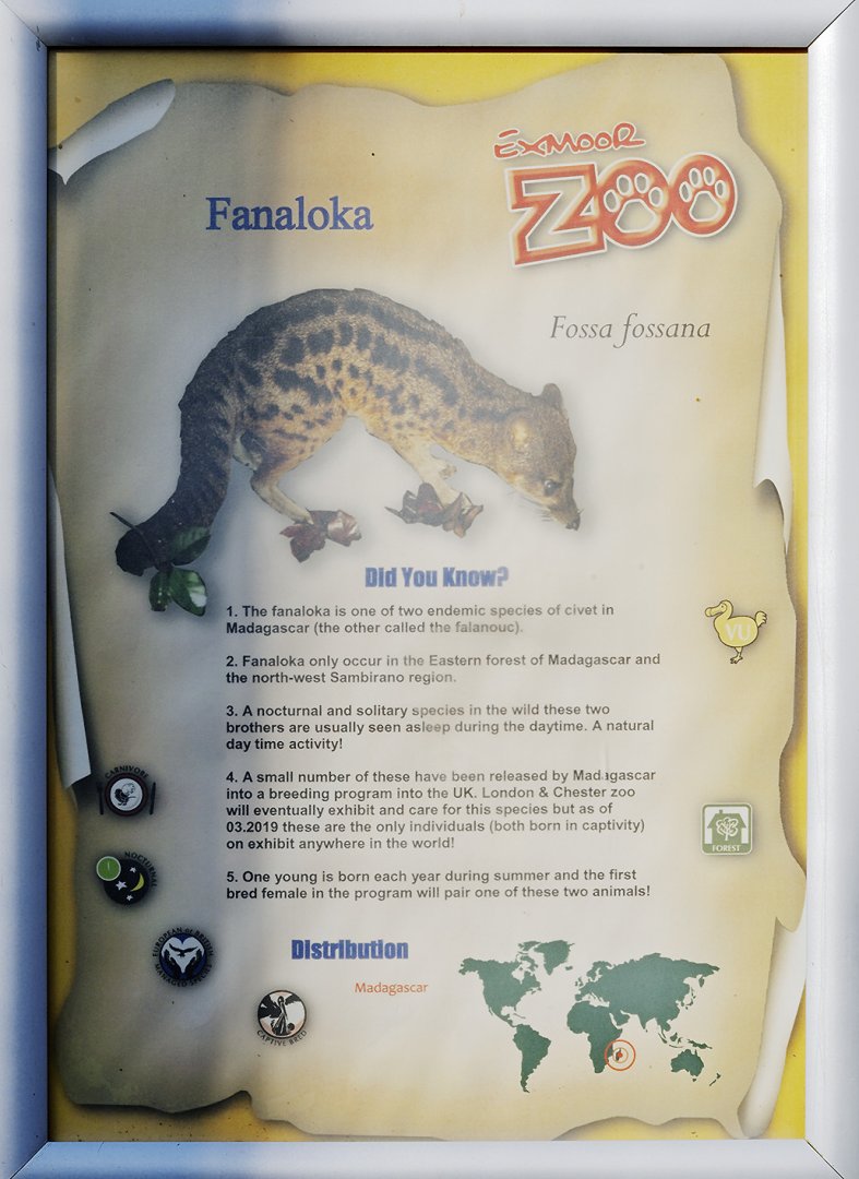 Fanaloka sign