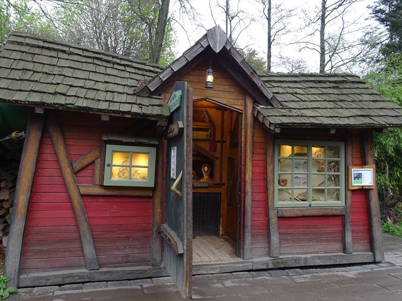 Fancy mouse enclosure