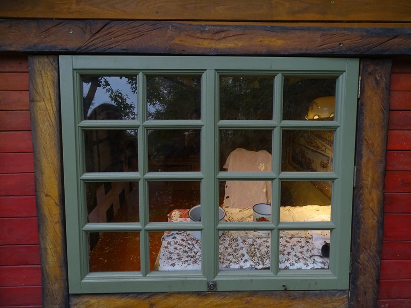 Fancy mouse enclosure