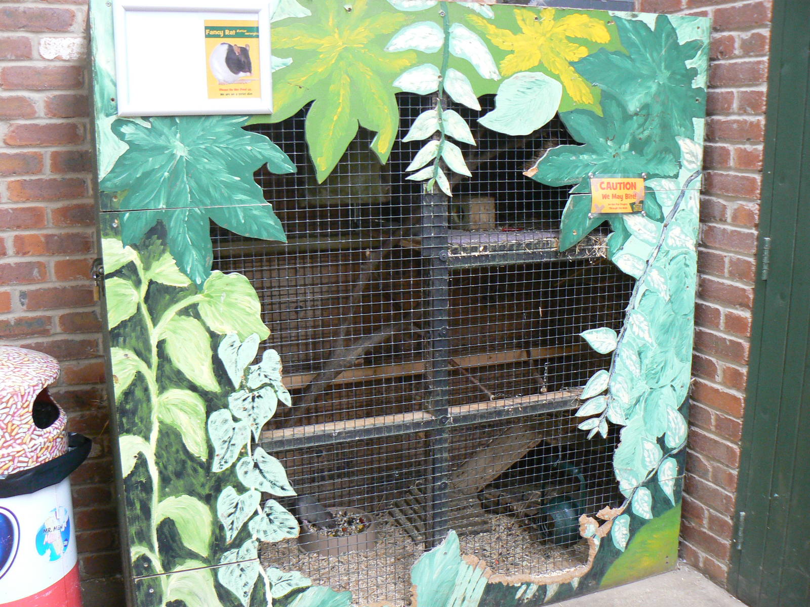 Fancy Rat Enclosure