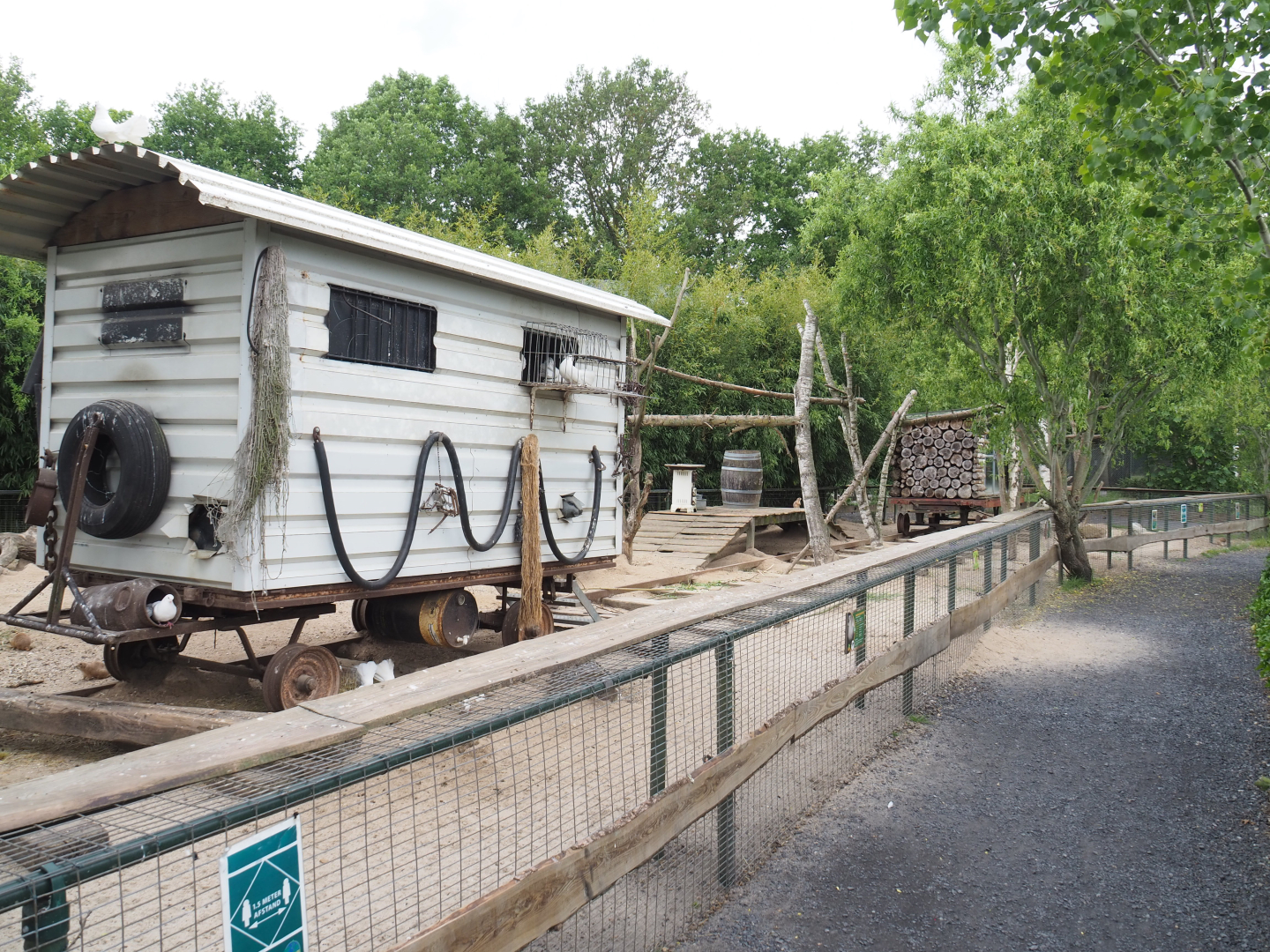 Fantail pigeon wagon and Black-tailed prairie dog exhibit, 2022-05-17