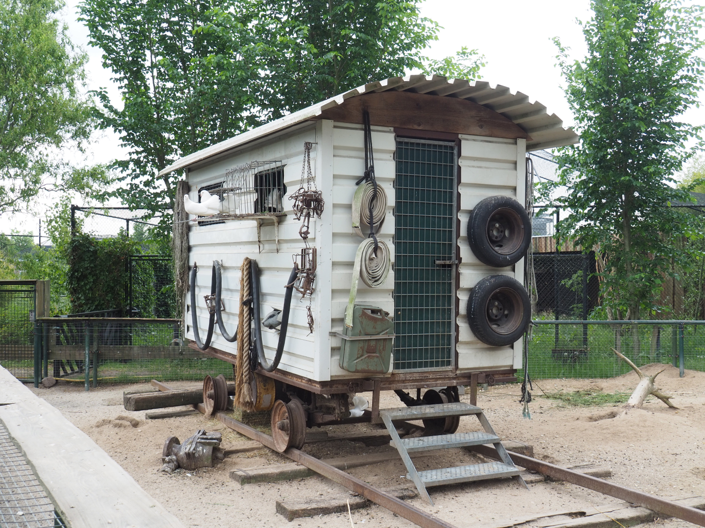 Fantain pigeon wagon, 2022-05-17