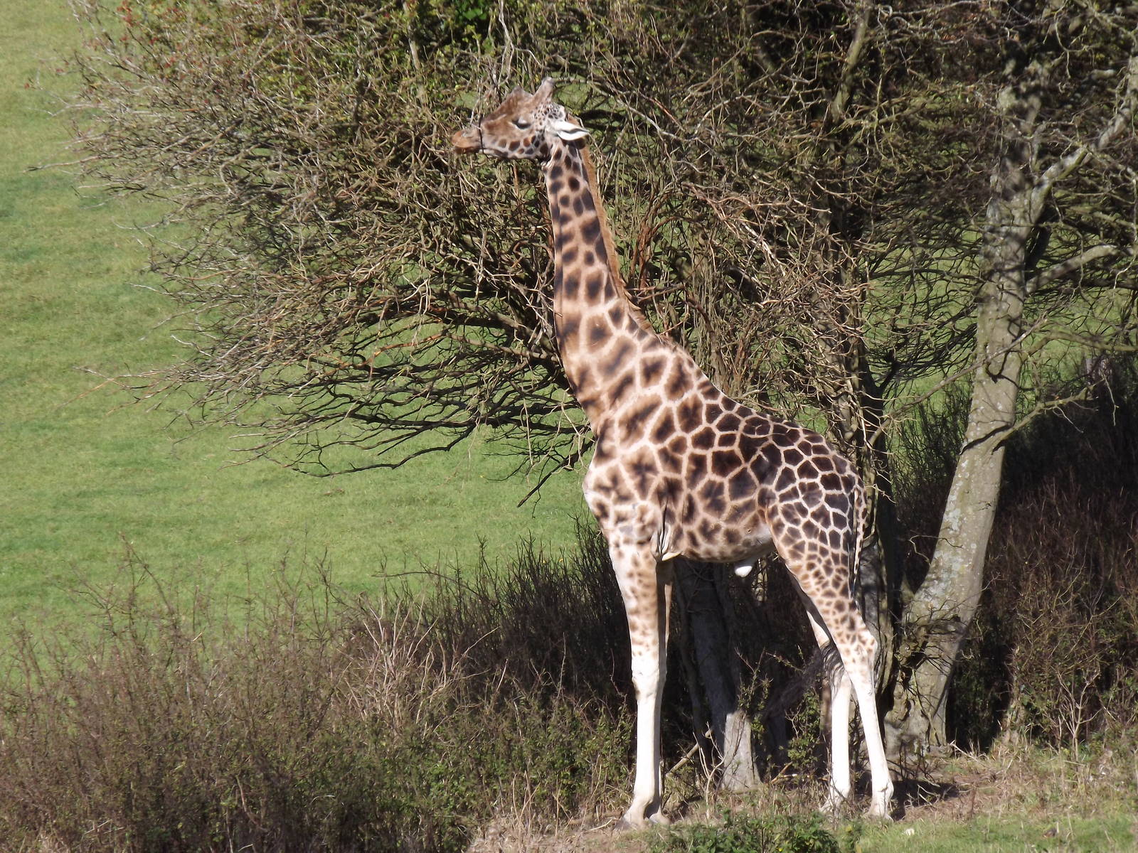 Fantastic African valley