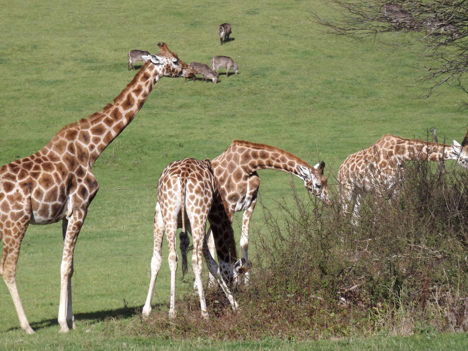 Fantastic African valley