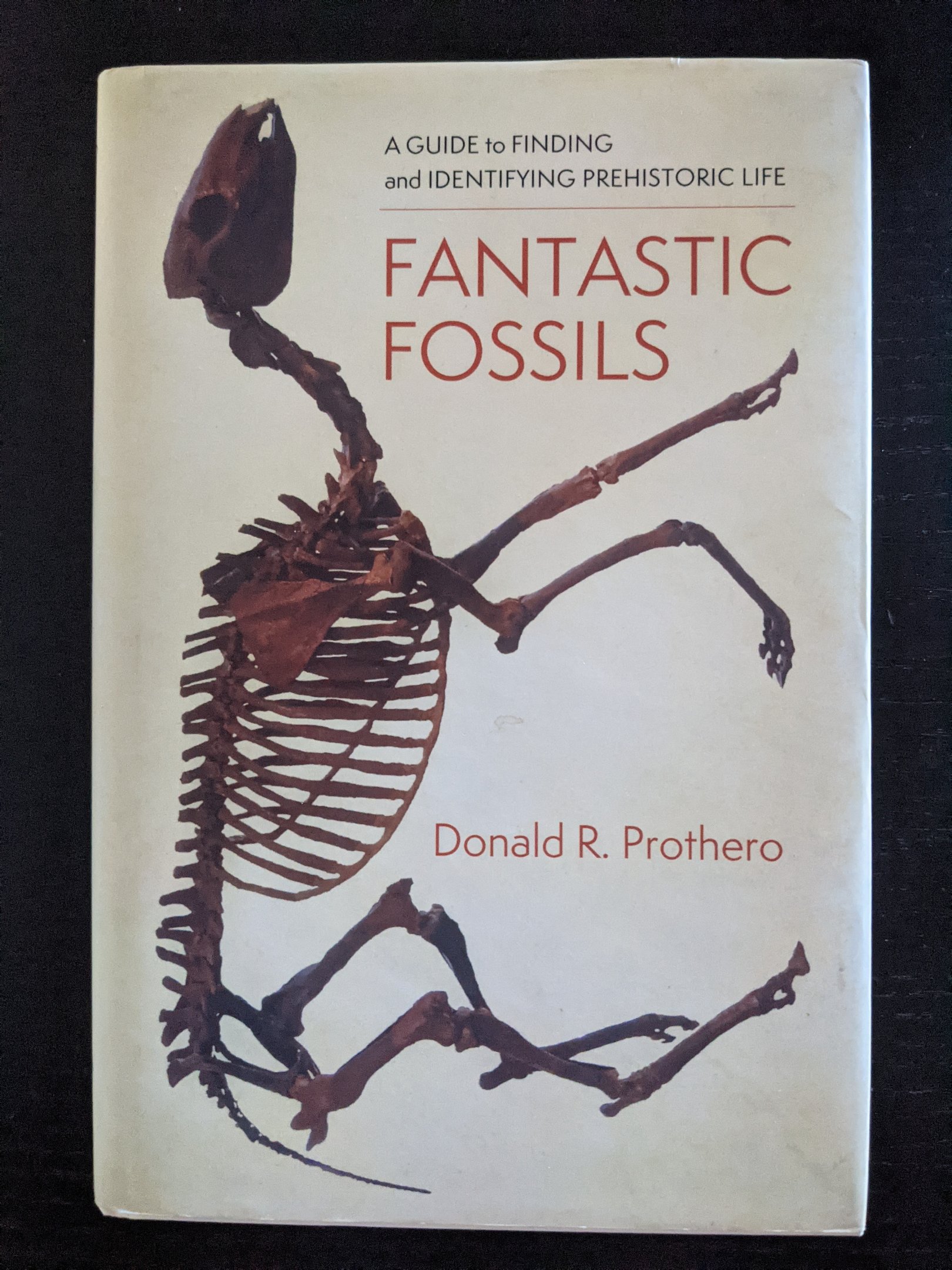Fantastic Fossils - A Guide to Finding and Identifying Prehistoric Life