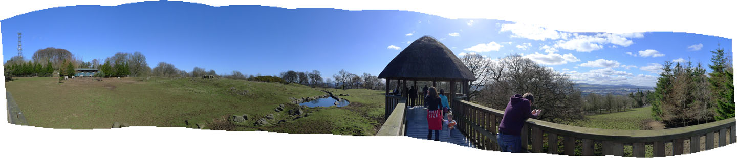 fantastic hoofstock savanna