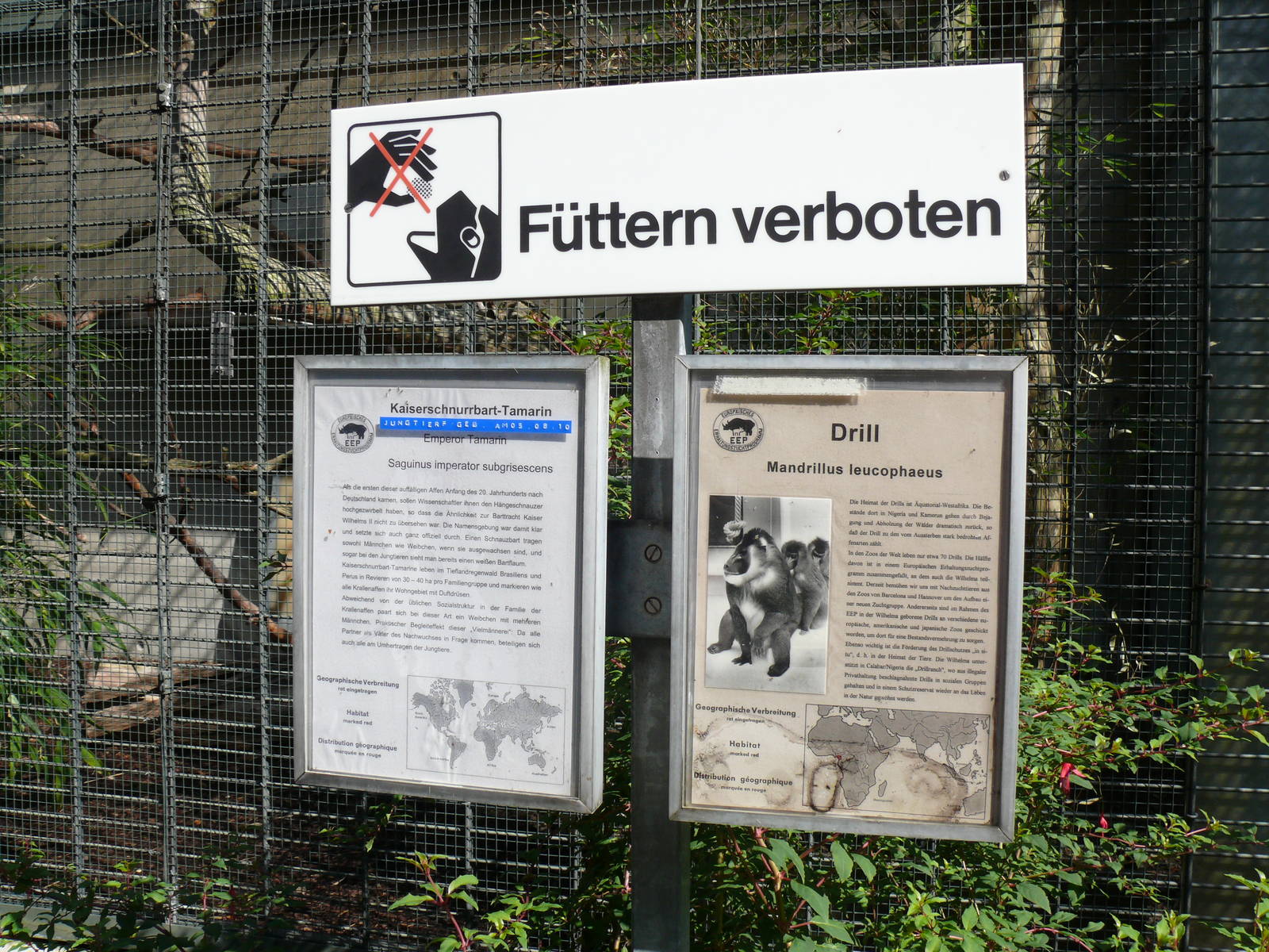 Fantastically old-school signs