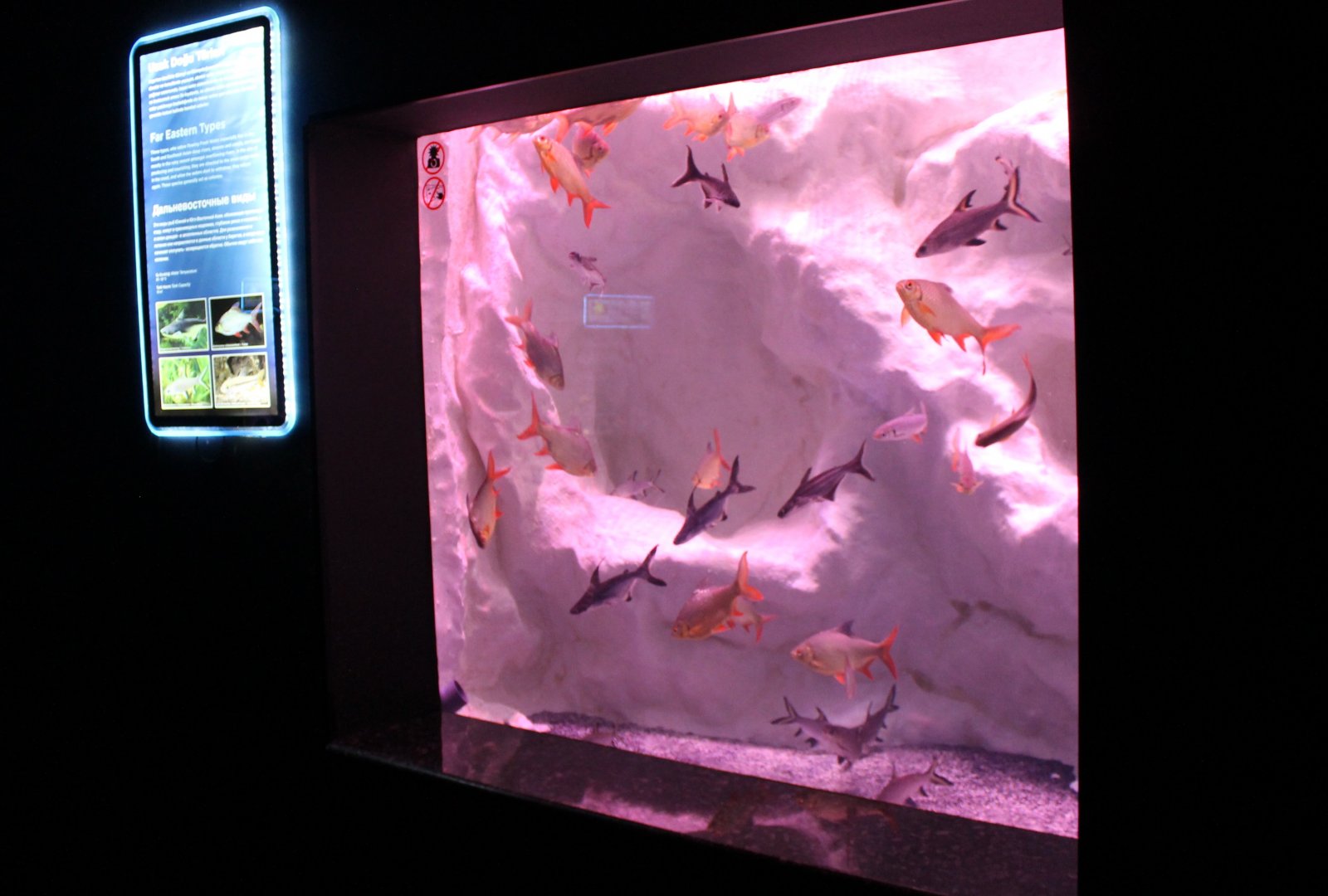 "Far East" aquarium