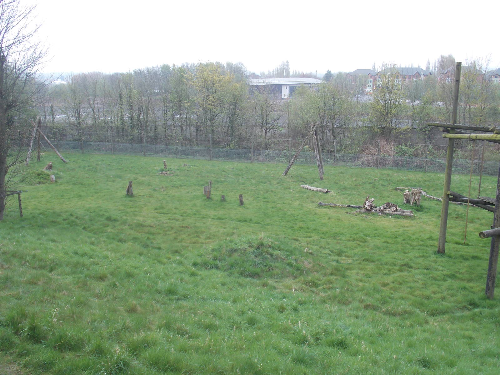 Far end of Chimp outdoor area