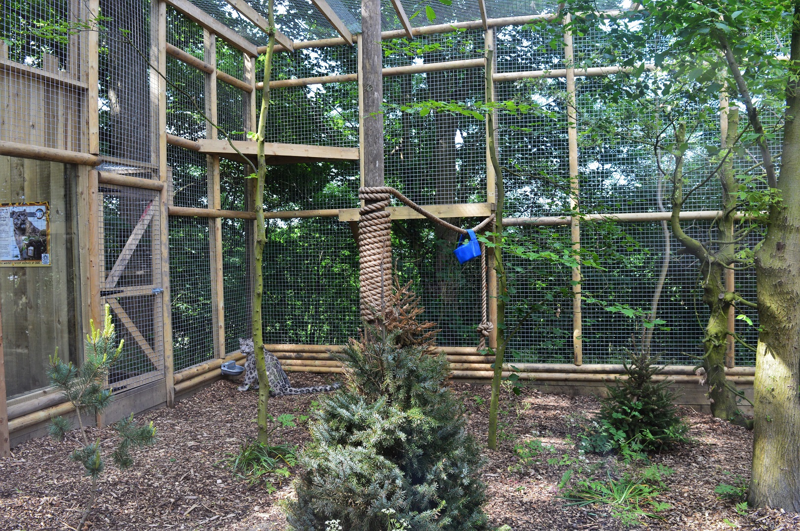 Far end of new snow leopard extension