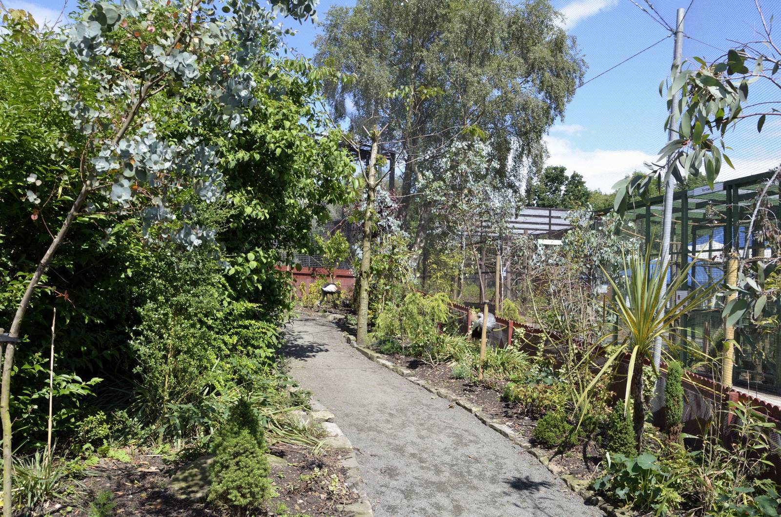 Far side of African Aviary-06/07/2014