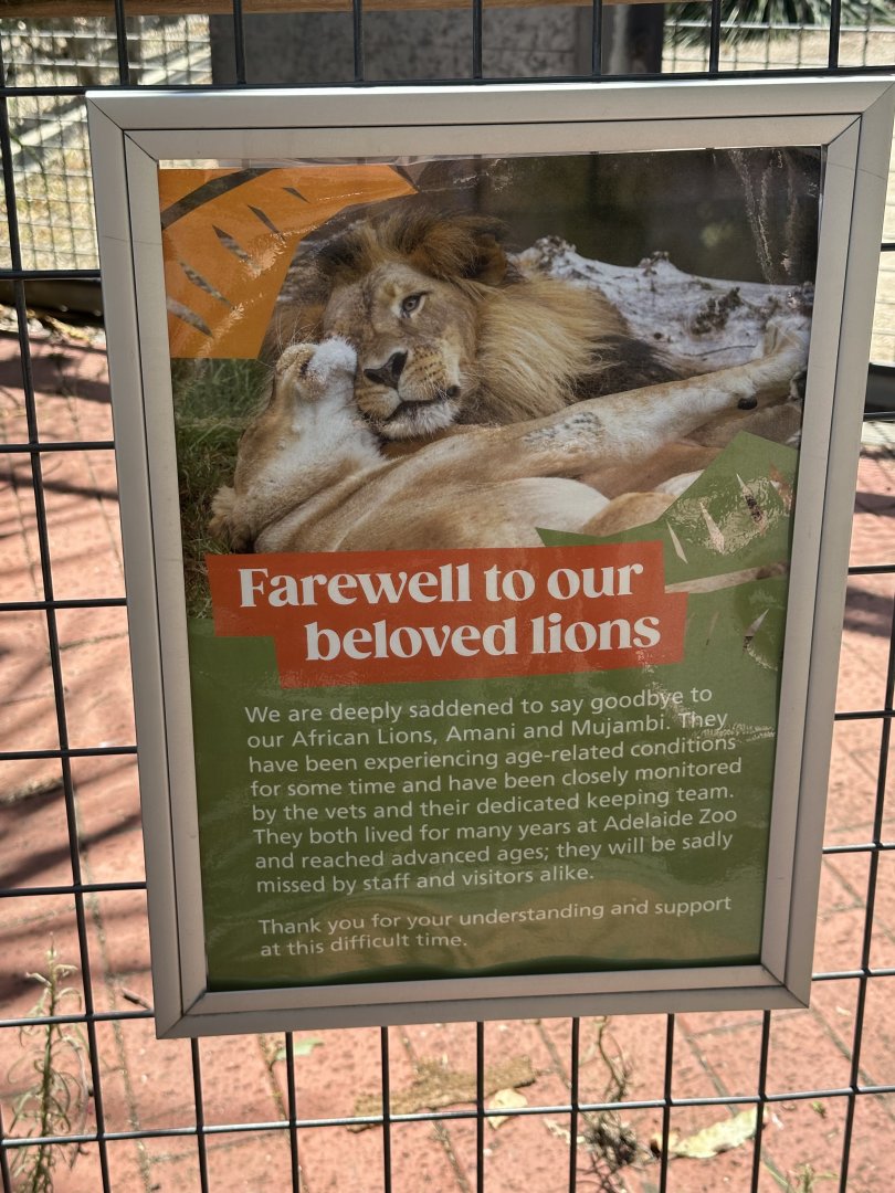 Farewell Amani and Mujambi