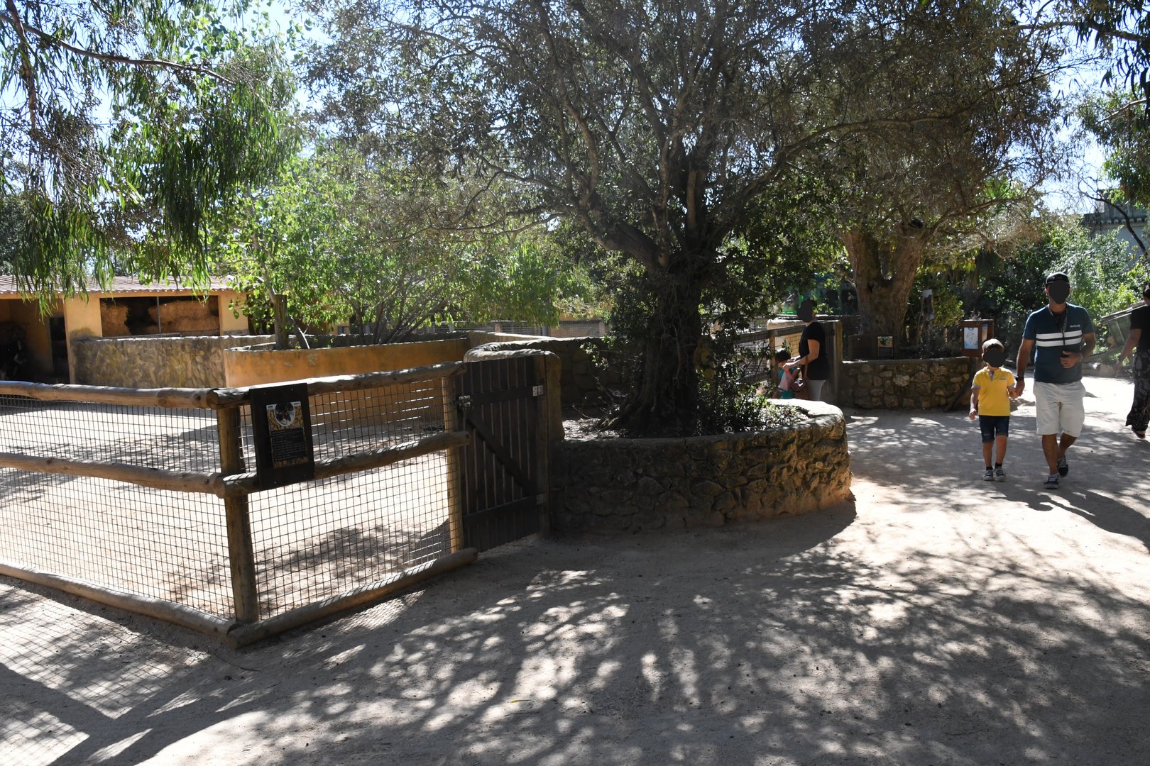 Farm and Domestic Animals Area