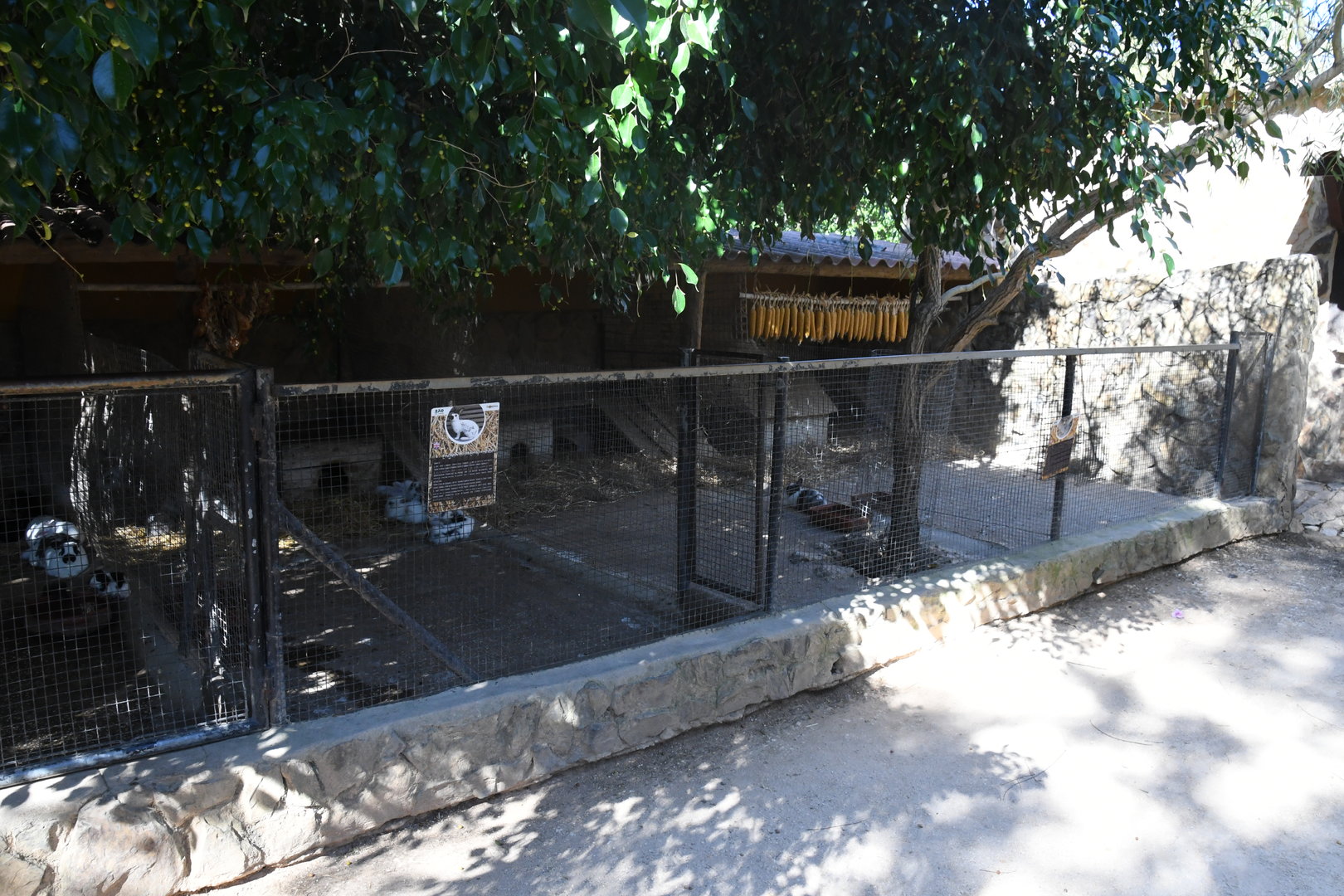 Farm and Domestic Animals Area