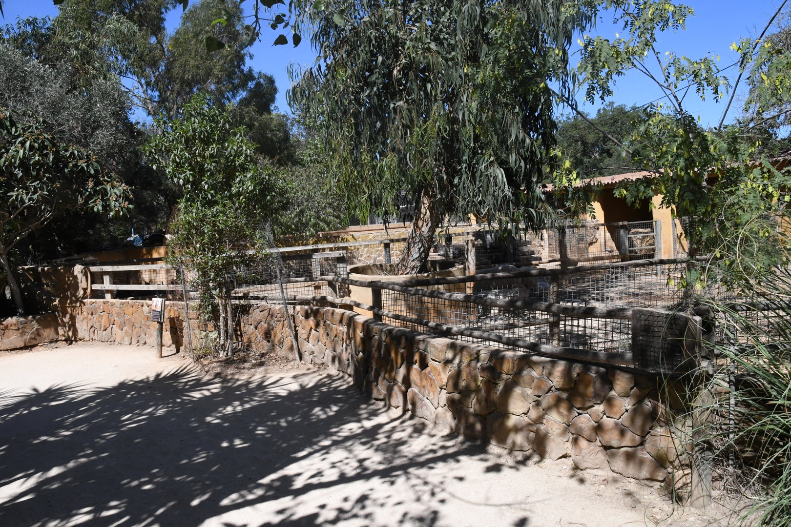 Farm and Domestic Animals Area