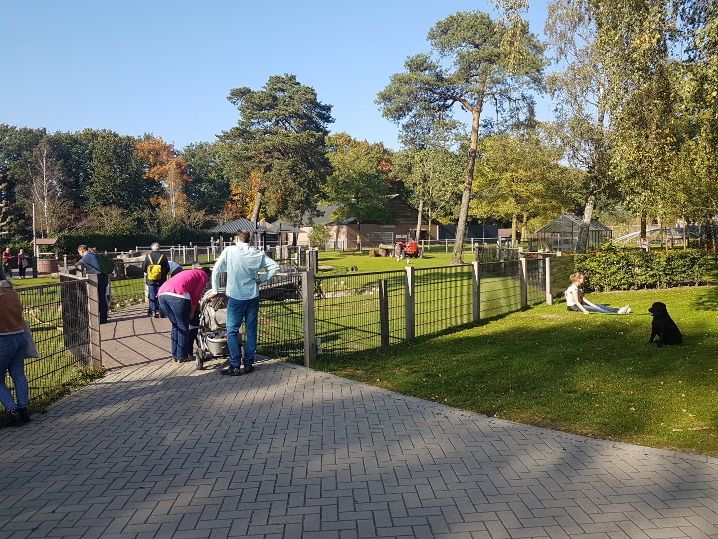 Farm-animal enclosures