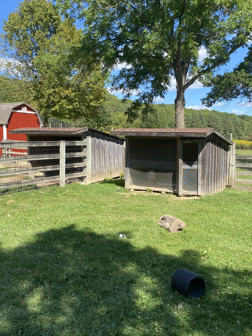 Farm animals- empty exhibit