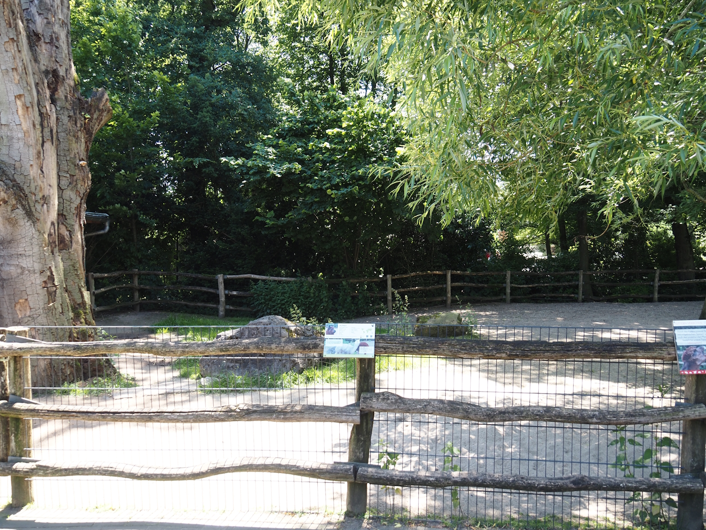 Farm area - Alpaca paddock, 2024-06-08
