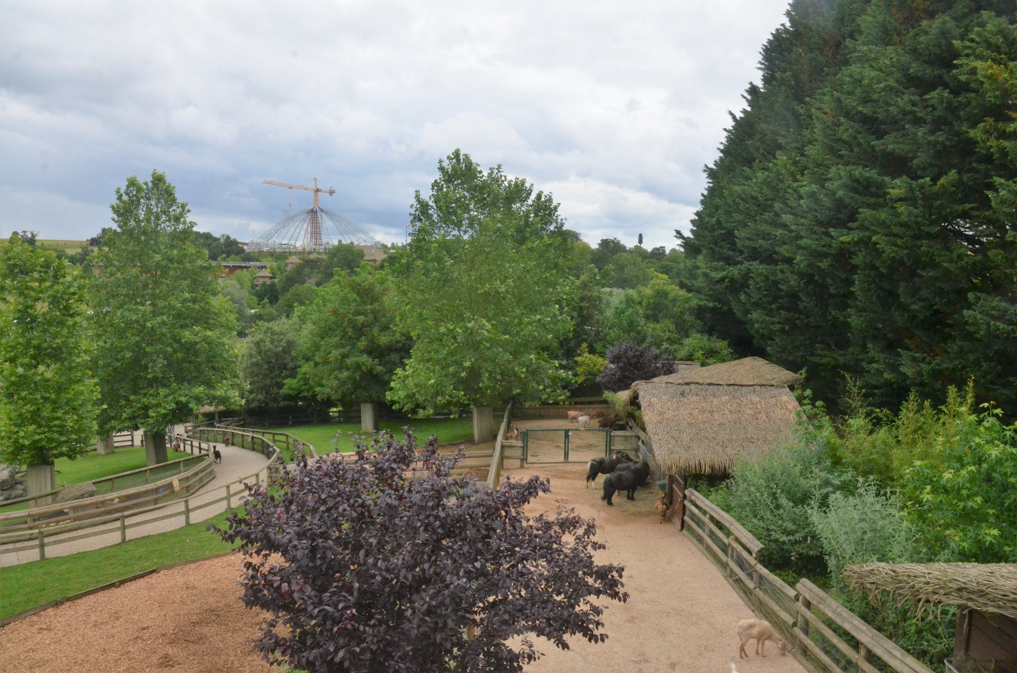 Farm Area at Beauval, 12/06/18
