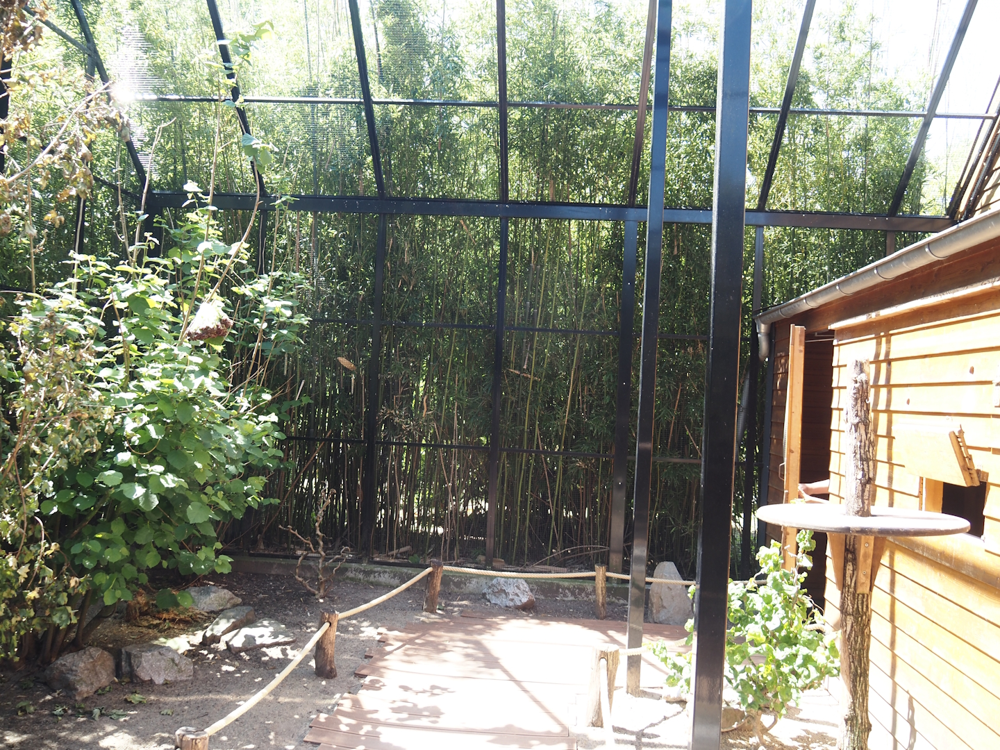 Farm area - Budgerigar walk-through aviary, 2024-06-08