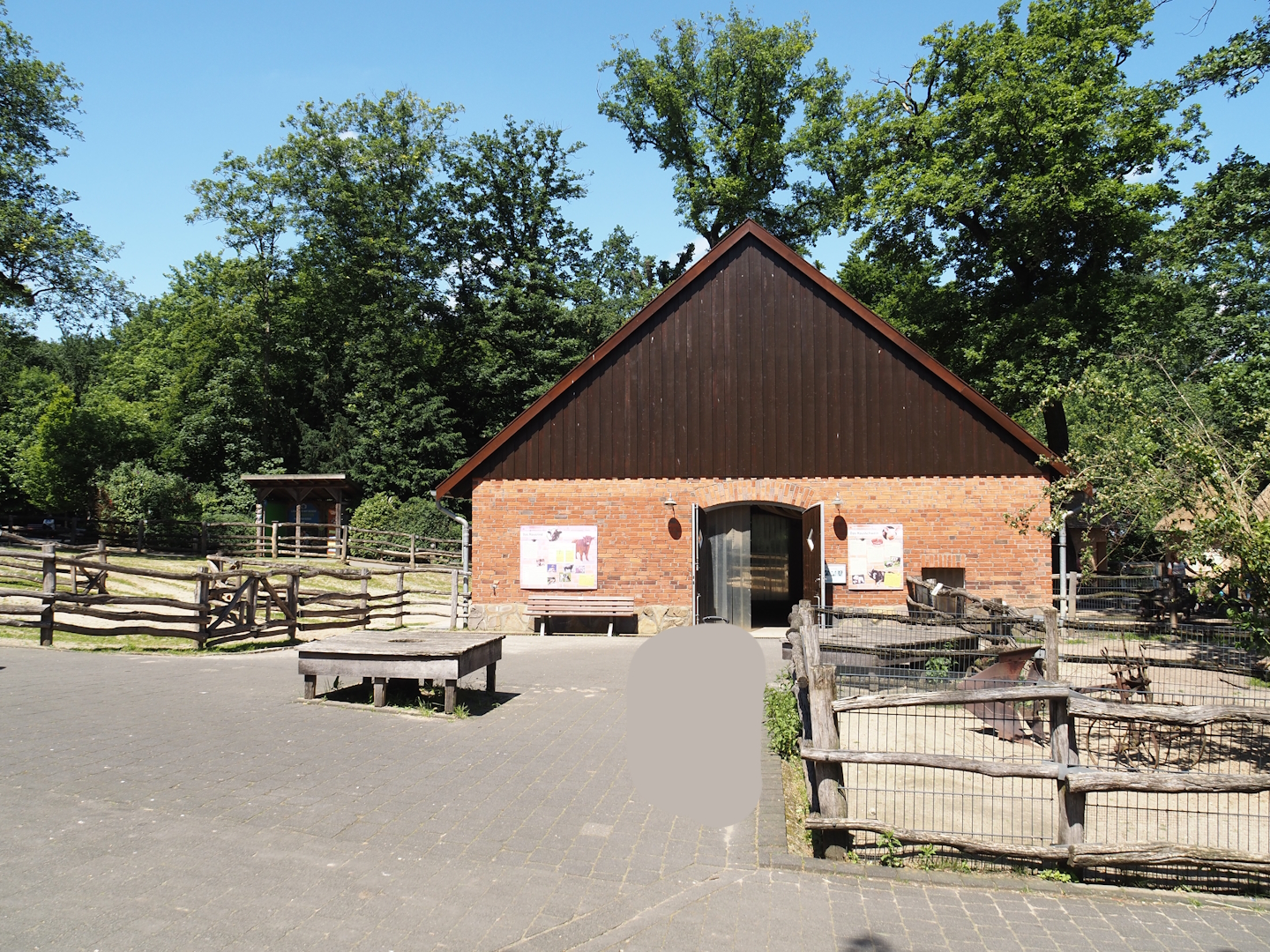 Farm area - Cattle and pig barn and paddocks, 2024-06-08
