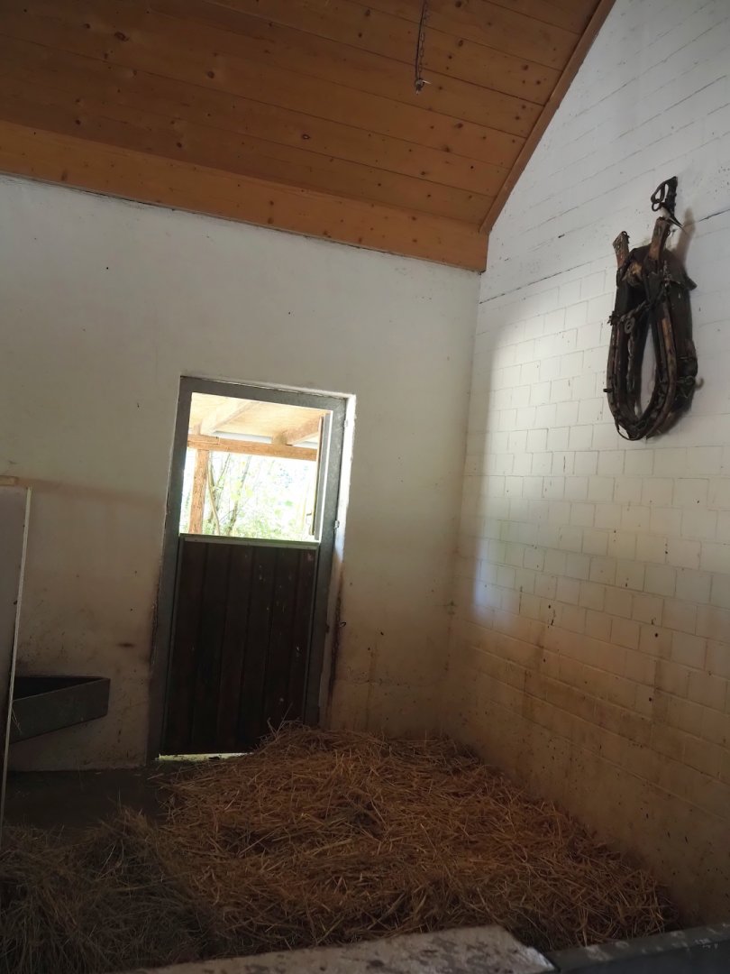 Farm area - Cattle stall, 2024-06-08