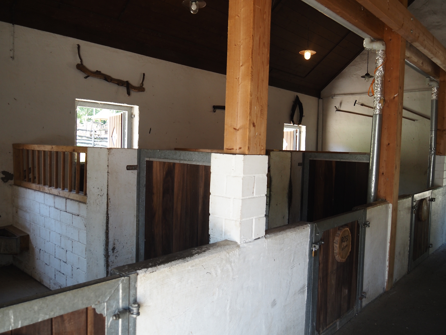 Farm area - Cattle stalls, 2024-06-08