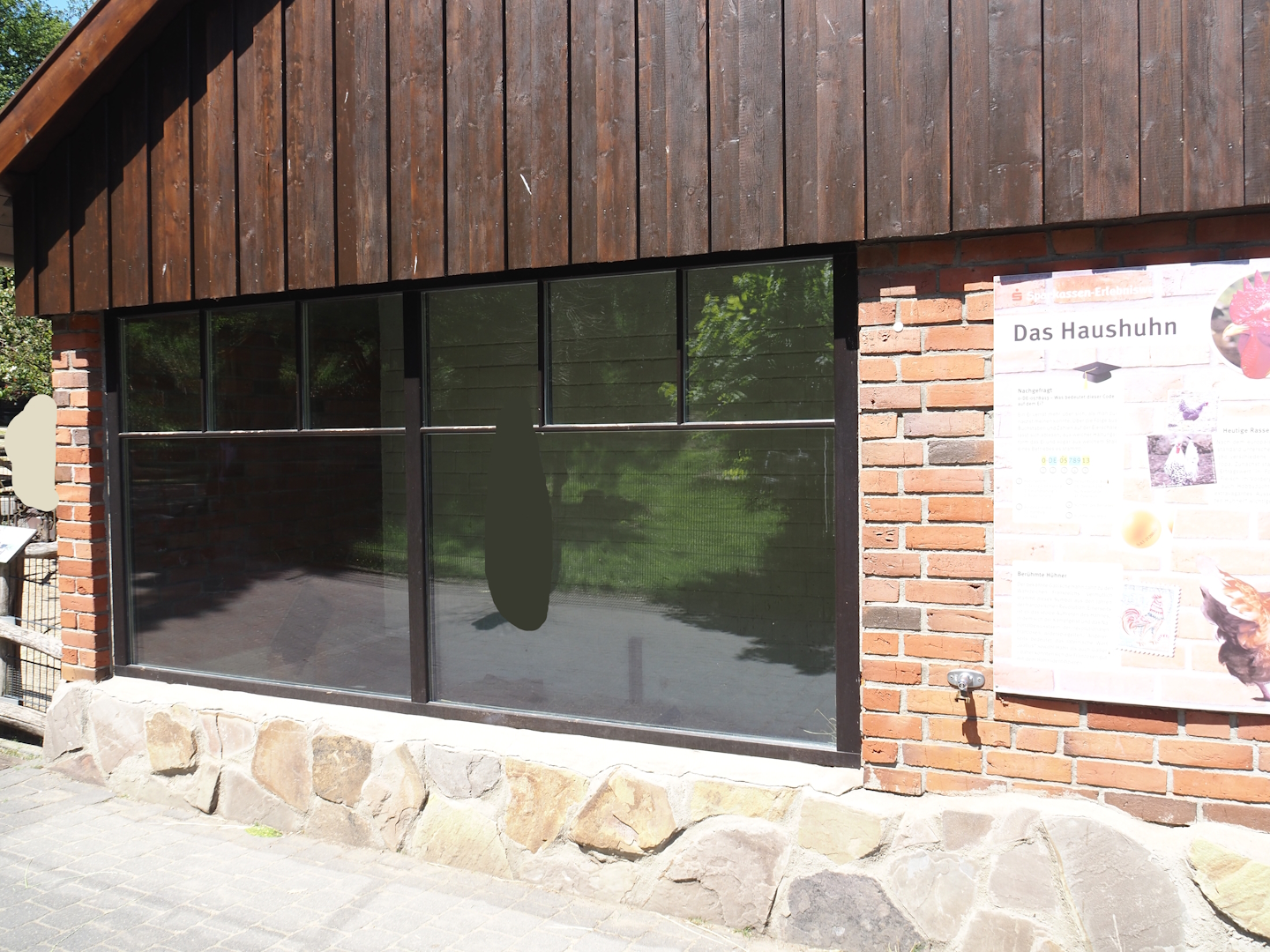 Farm area - Chicken and guinea pig barn, side with chicken coop, 2024-06-08