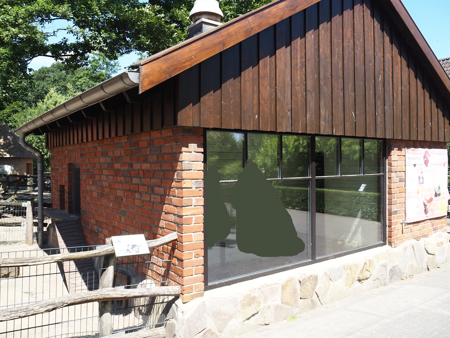 Farm area - Chicken and guinea pig barn, side with indoor housing for guinea pigs, 2024-06-08