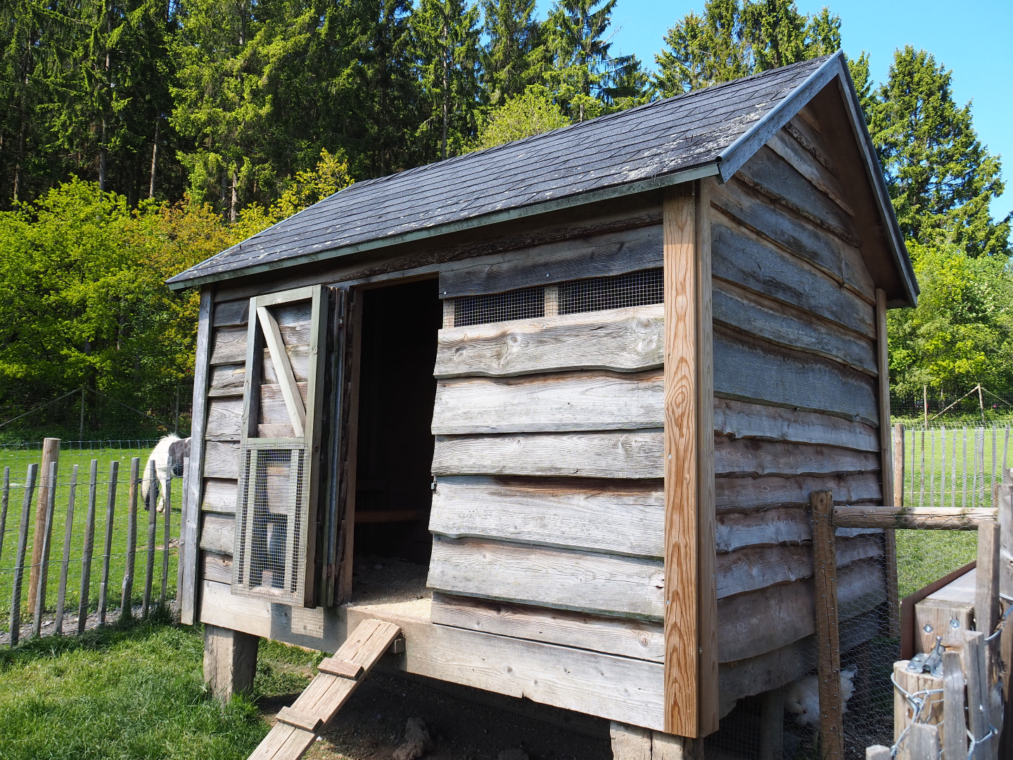Farm area - Chicken coop, 2021-05-29