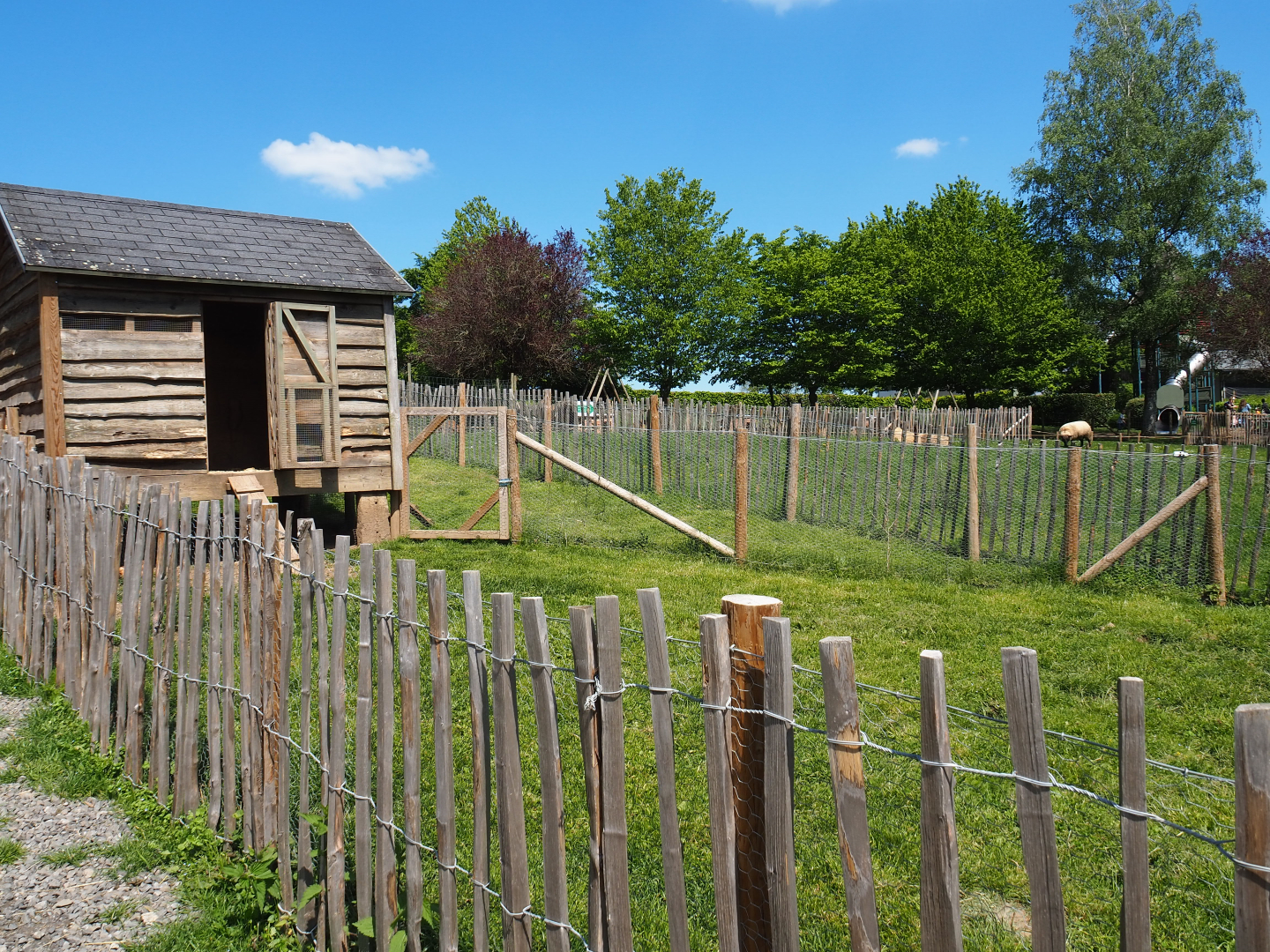 Farm area - Chicken pen, 2021-05-29