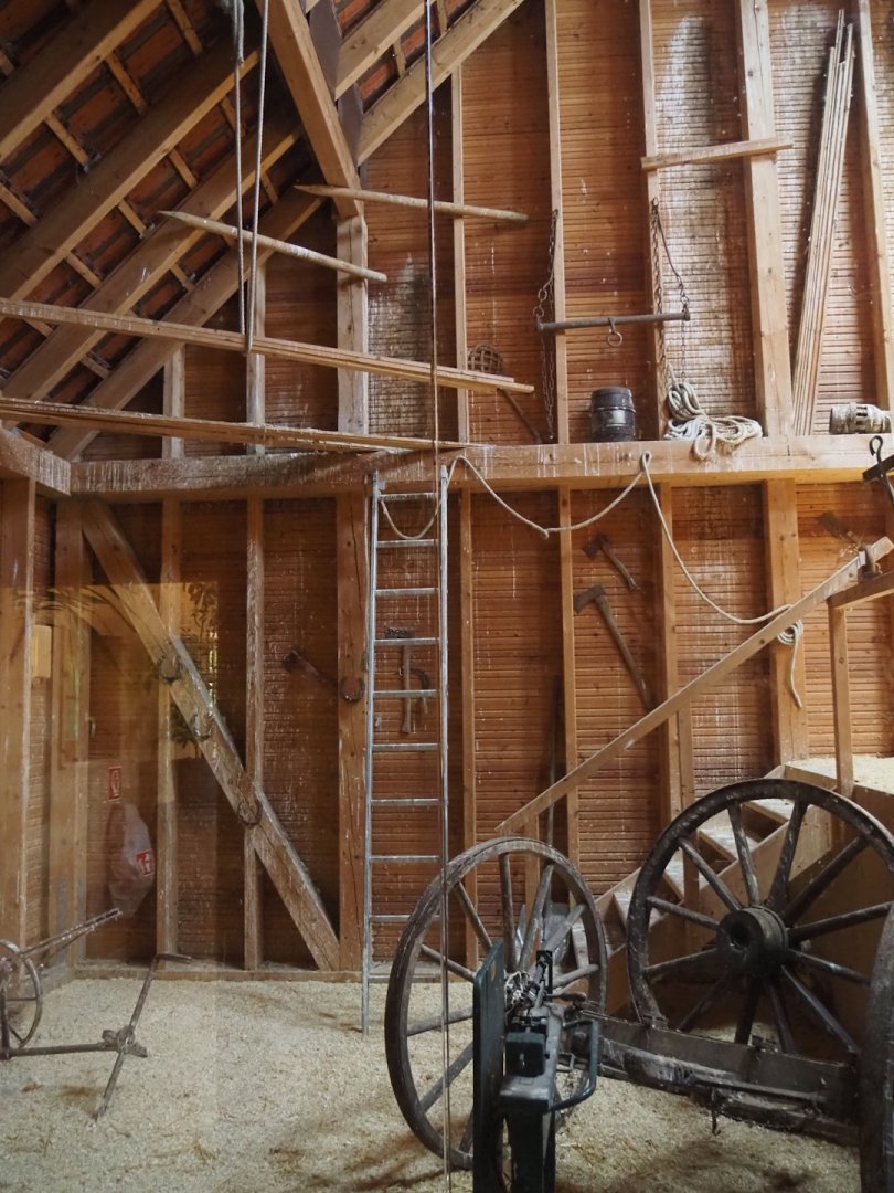 Farm area - Common barn owl exhibit in barn, 2024-06-08