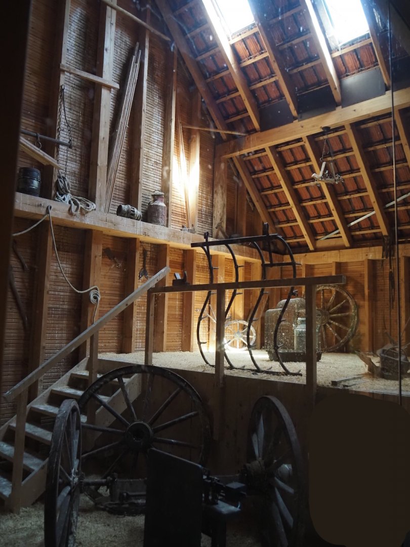 Farm area - Common barn owl exhibit in barn, 2024-06-08