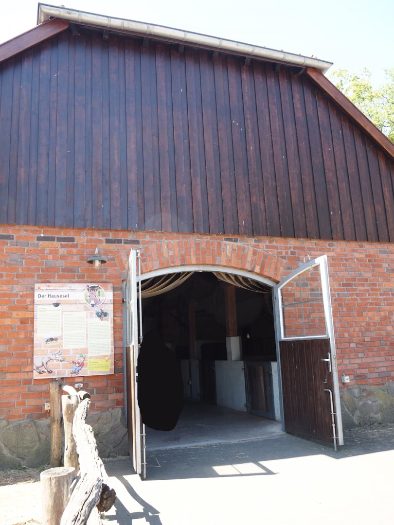 Farm area - Donkey and pig barn, 2024-06-08
