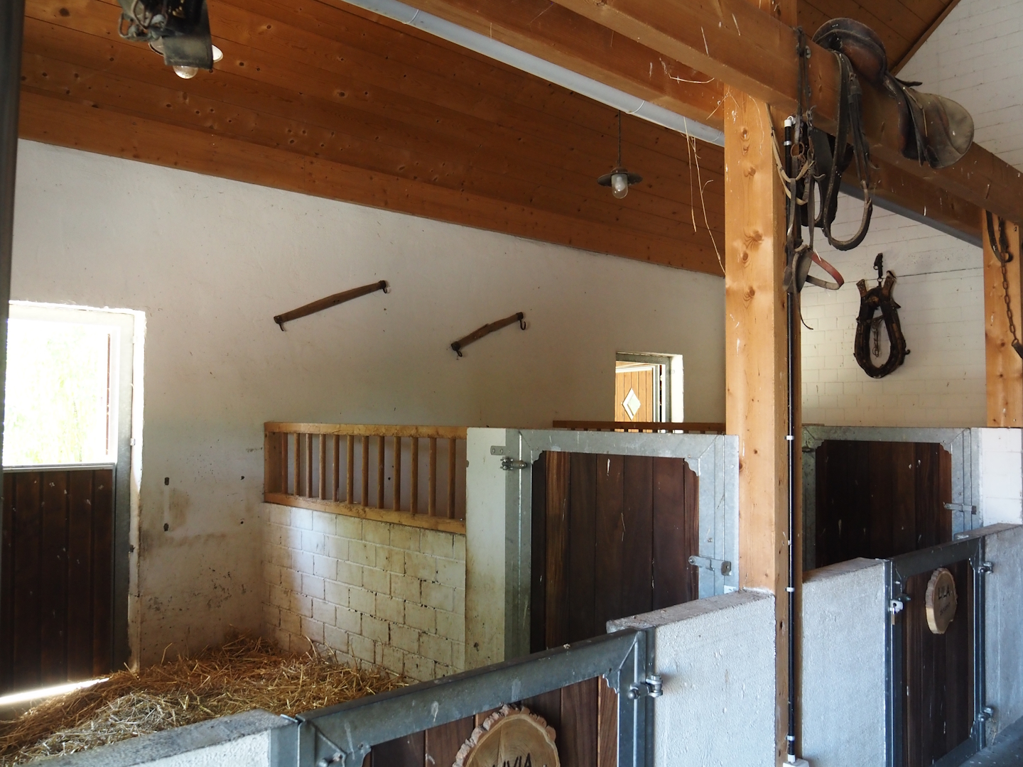 Farm area - Donkey stalls, 2024-06-08