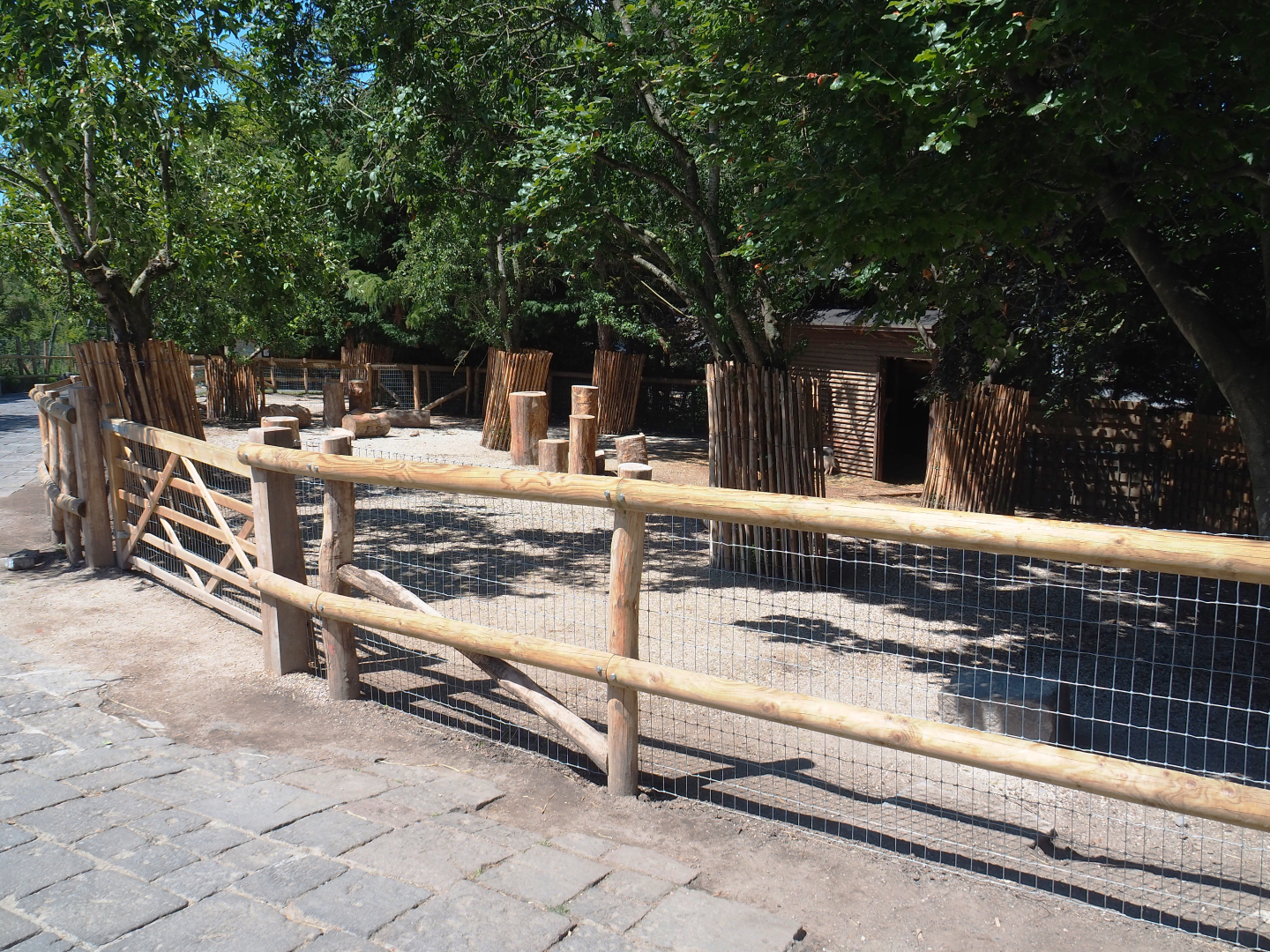 Farm area - Dwarf goat and Mini pig paddock, 2022-06-28