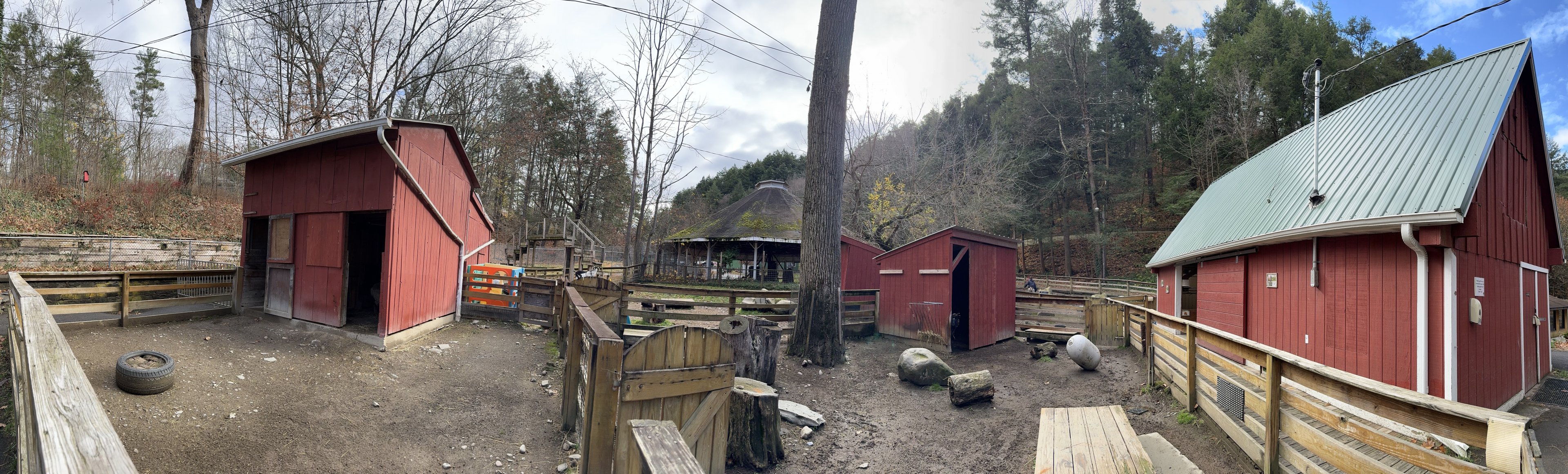 Farm area - General view