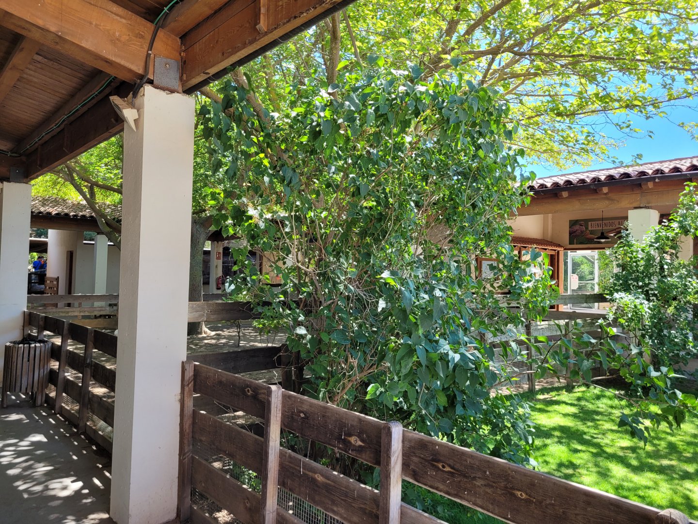 Farm area in "Aves" -Sendaviva (2024)