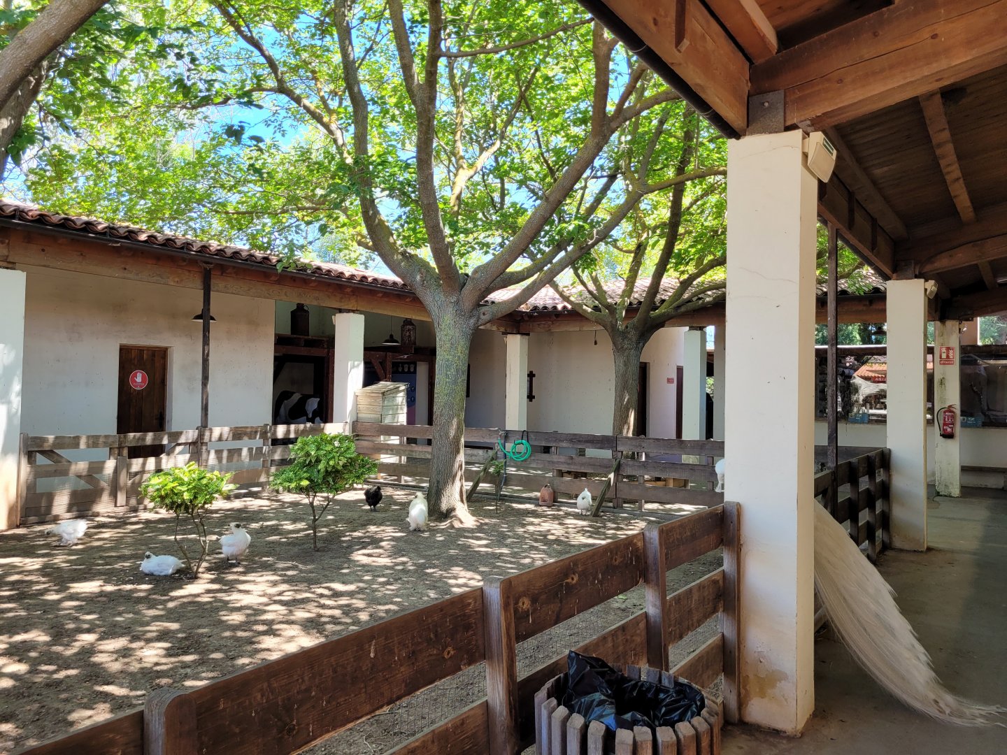 Farm area in "Aves" -Sendaviva (2024)