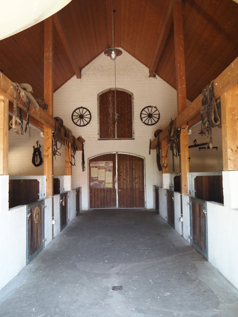 Farm area - Interior of the donkey and cattle barn, 2024-06-08