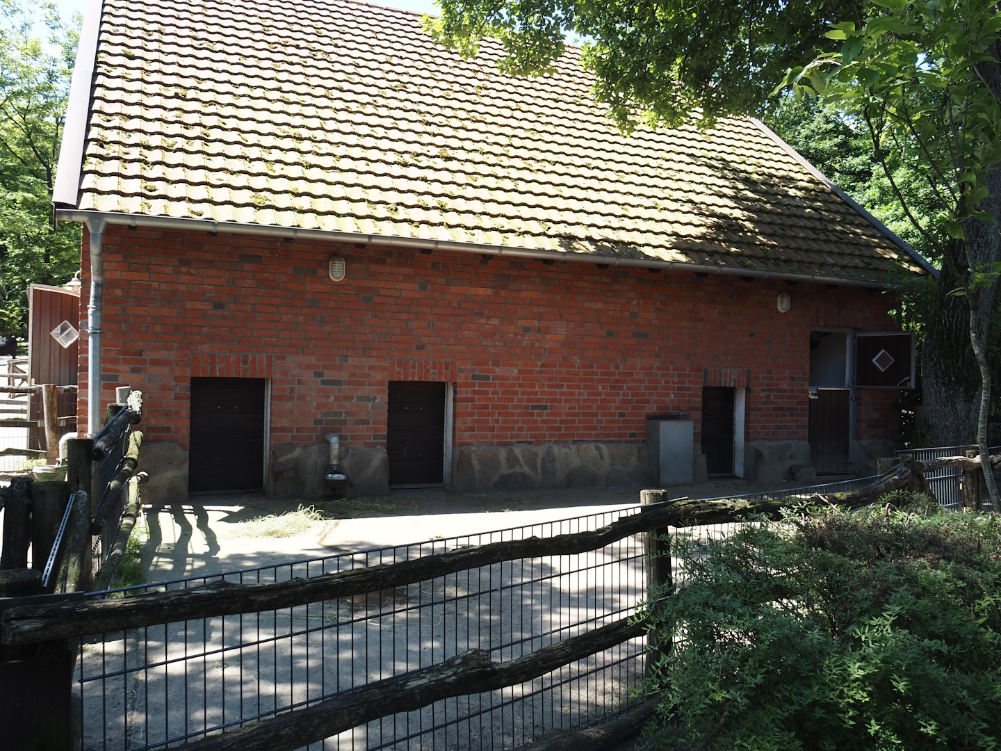 Farm area - Kune-kune pig paddock, 2024-06-08