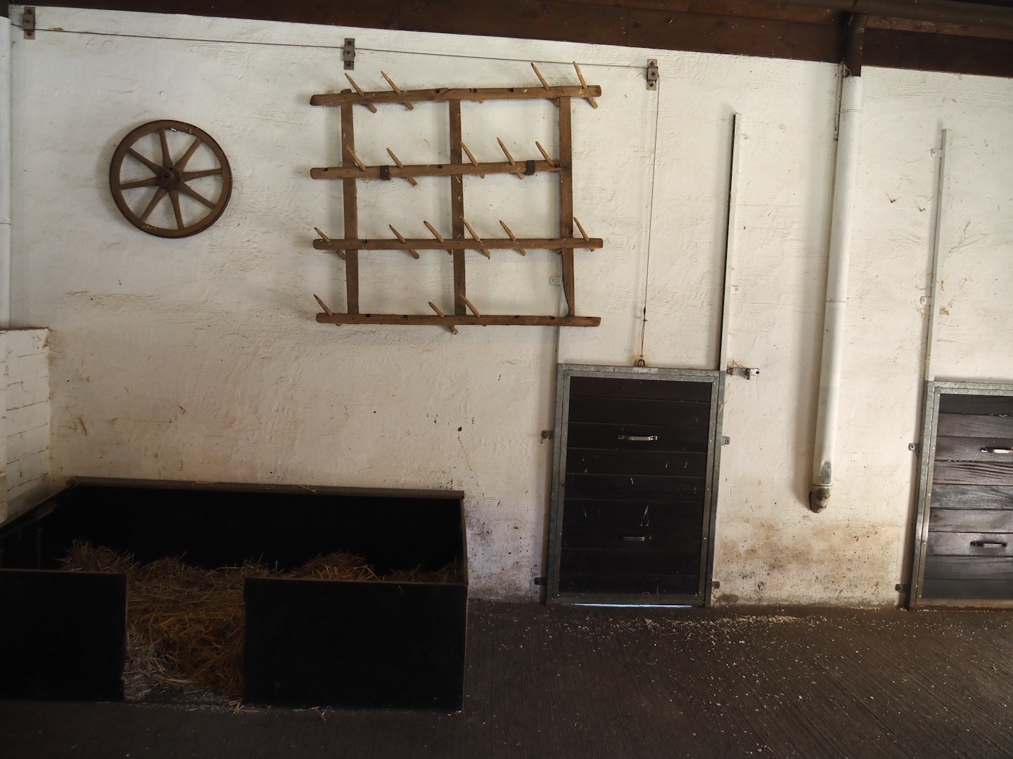 Farm area - Kune-kune pig stall, 2024-06-08