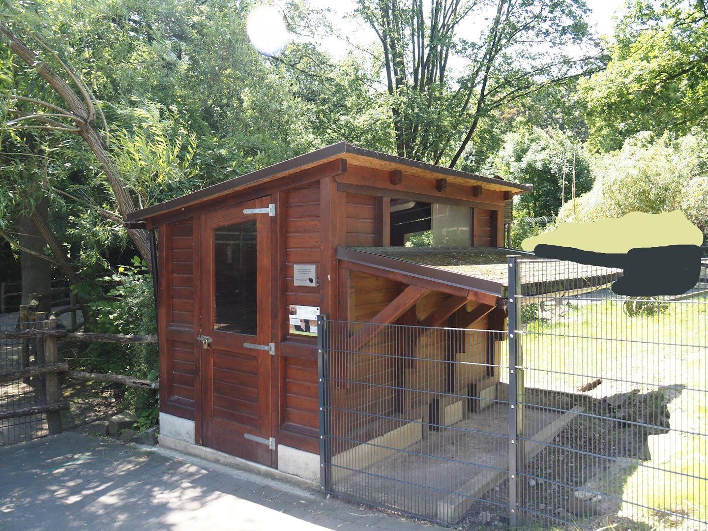 Farm area - Meißner Widderkaninchen/Meissner lop rabbit barn, 2024-06-08